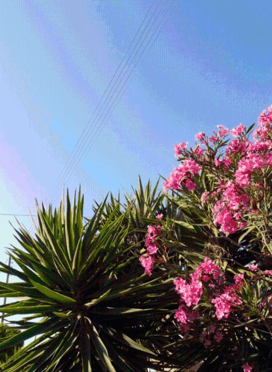 Blue Sky *
